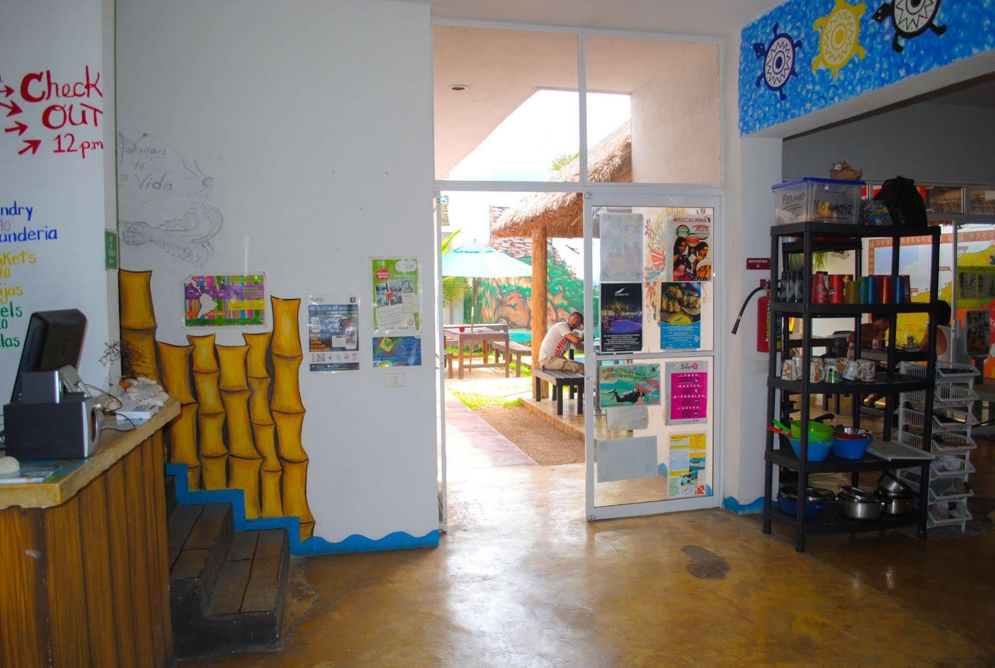 Hostal Vive La Vida Πλάγια Ντελ Κάρμεν Εξωτερικό φωτογραφία