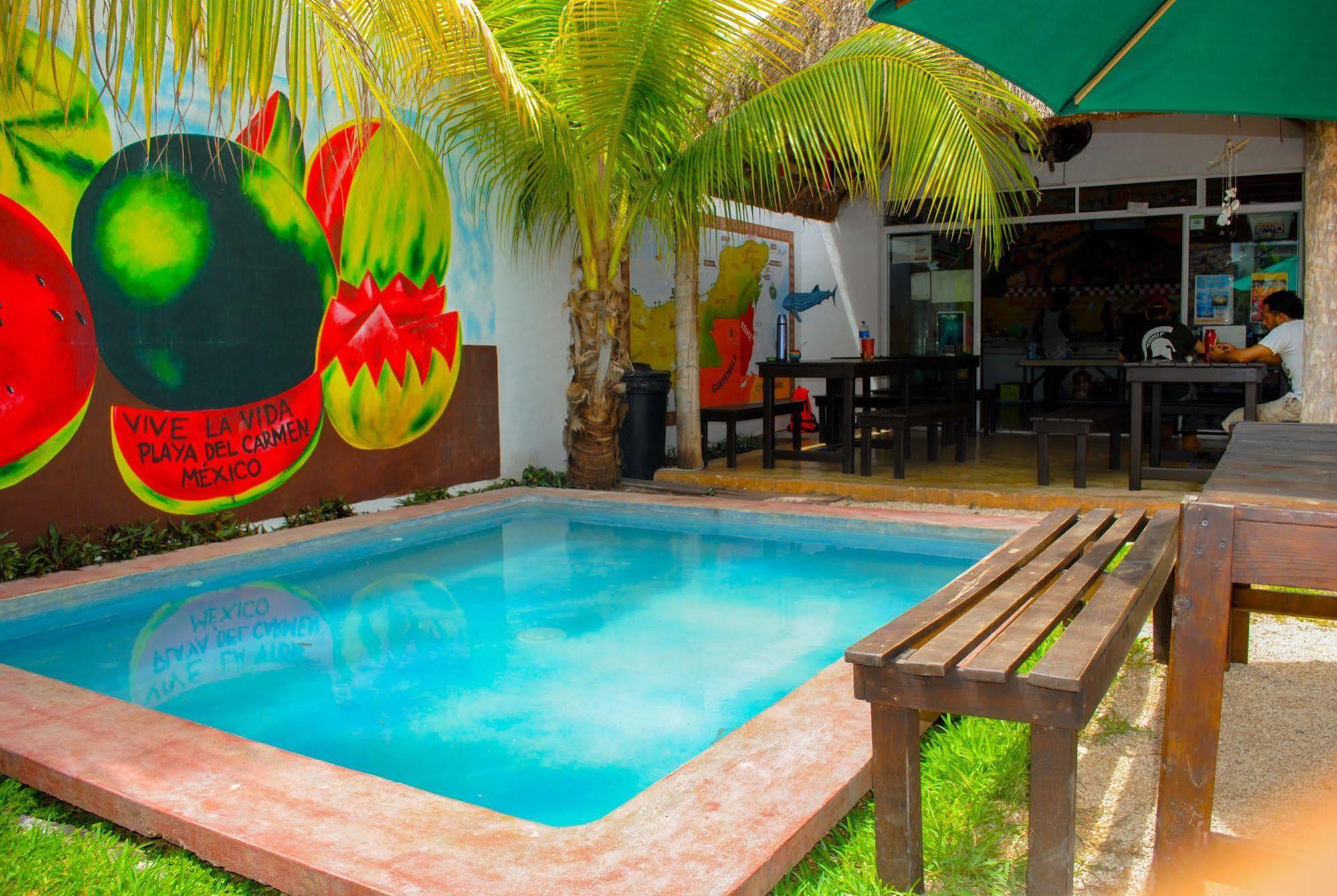 Hostal Vive La Vida Πλάγια Ντελ Κάρμεν Εξωτερικό φωτογραφία