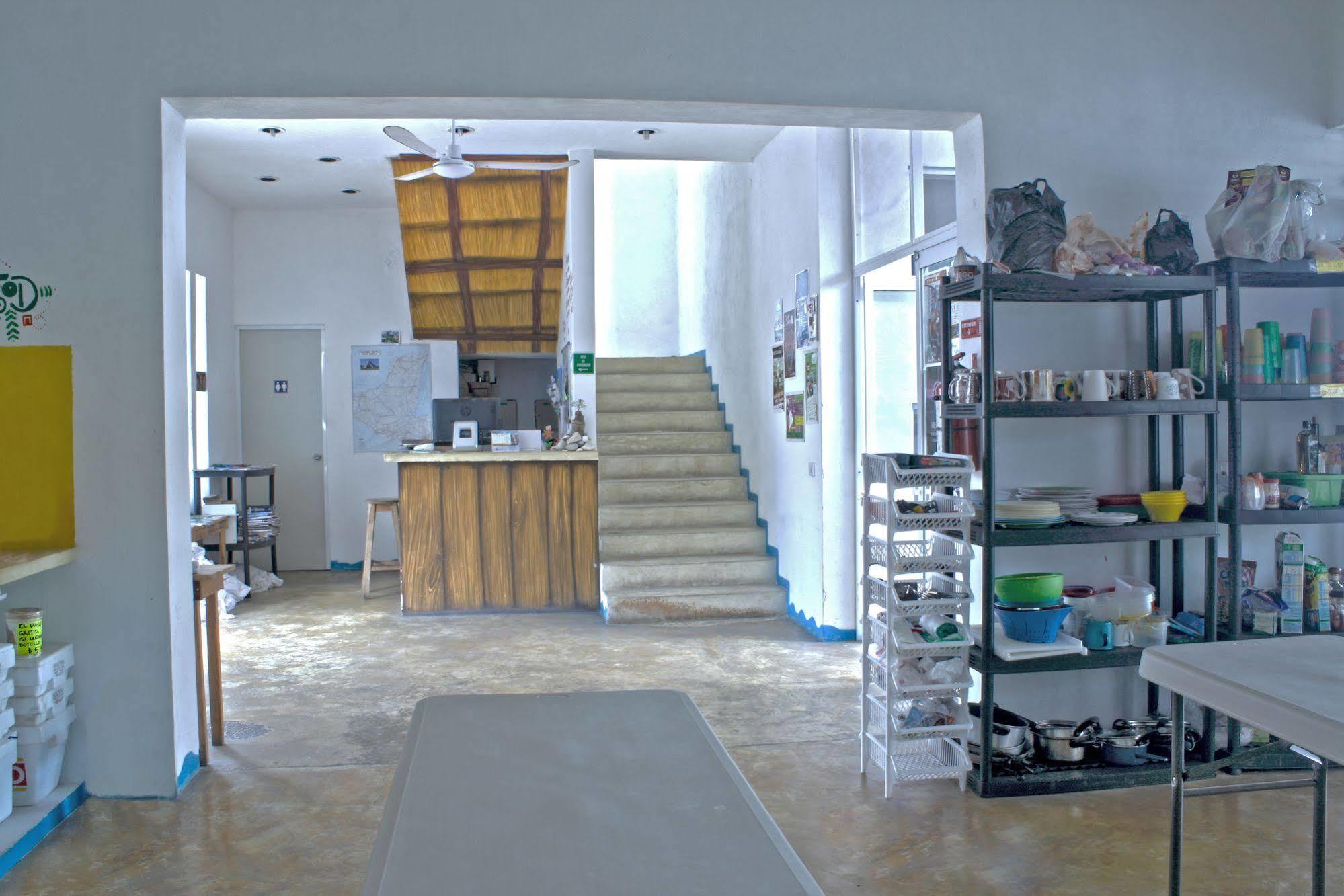 Hostal Vive La Vida Πλάγια Ντελ Κάρμεν Εξωτερικό φωτογραφία