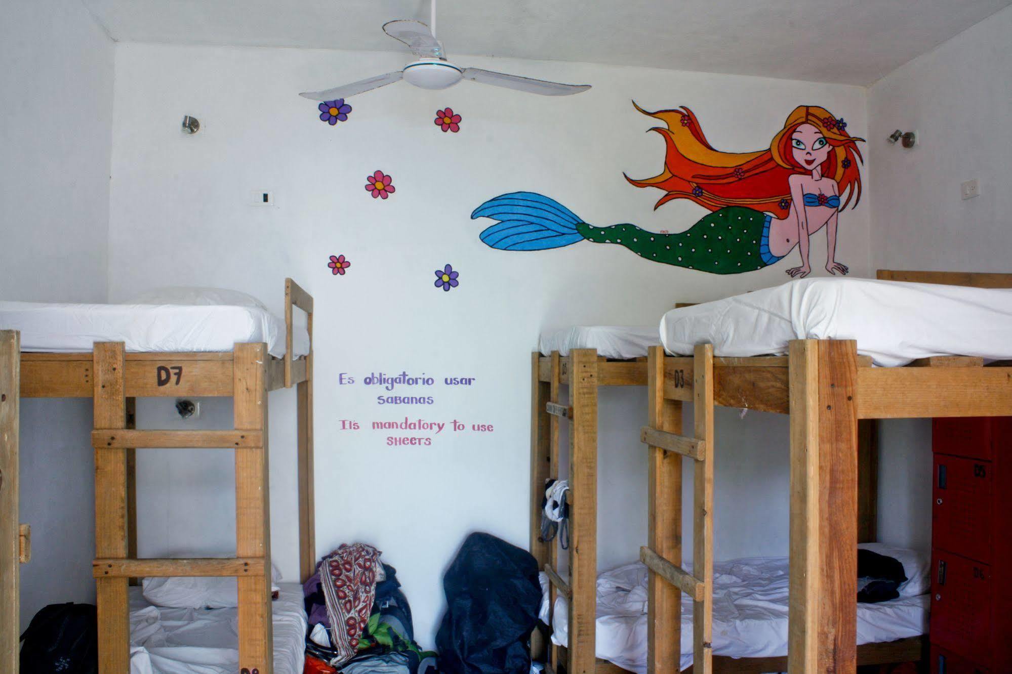 Hostal Vive La Vida Πλάγια Ντελ Κάρμεν Εξωτερικό φωτογραφία