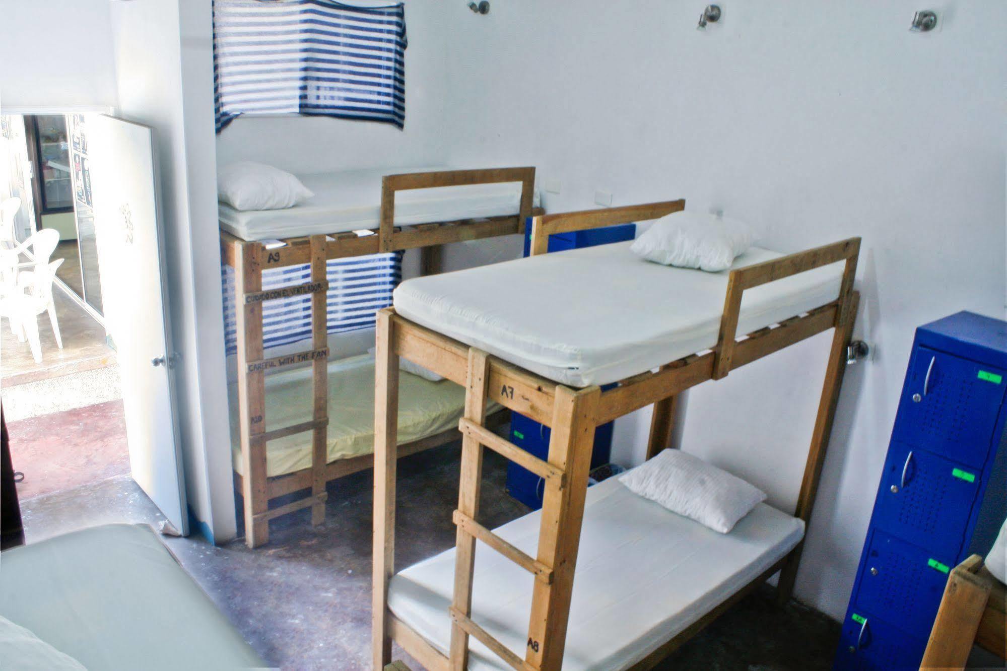 Hostal Vive La Vida Πλάγια Ντελ Κάρμεν Εξωτερικό φωτογραφία